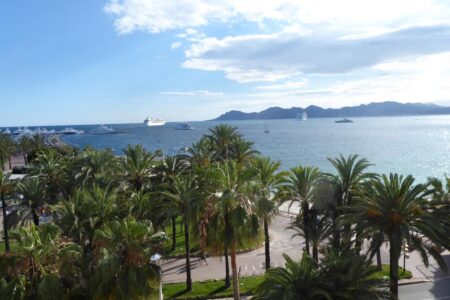 quartier cannes logement appartement location saisonnière courte durée plage festival croisette rue d'antibes